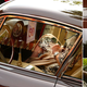 Illustration for article titled Steve McQueen’s $2.3M Ferrari 250 GT Lusso: What Can Brown Do For You?
